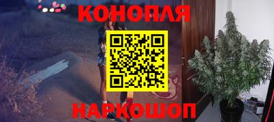 сатива Пенза